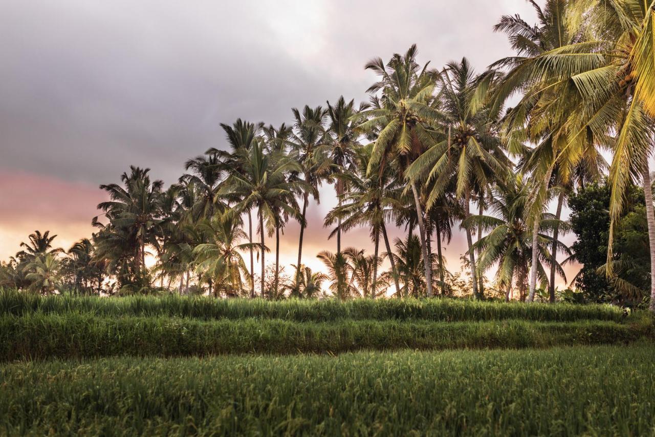 Luxe Villas Bali Ubud Extérieur photo